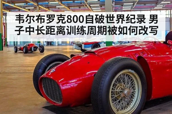 韦尔布罗克800自破世界纪录 男子中长距离训练周期被如何改写